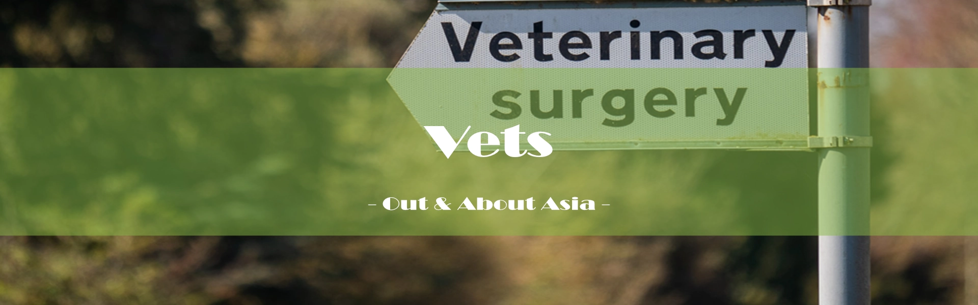 Pet Related / Vets - Out & About Asia