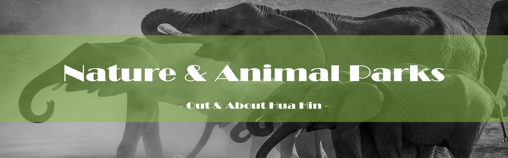 Sightseeing / Nature & Animal Parks - Out & About Asia